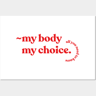 pro choice definition feminist rights Posters and Art